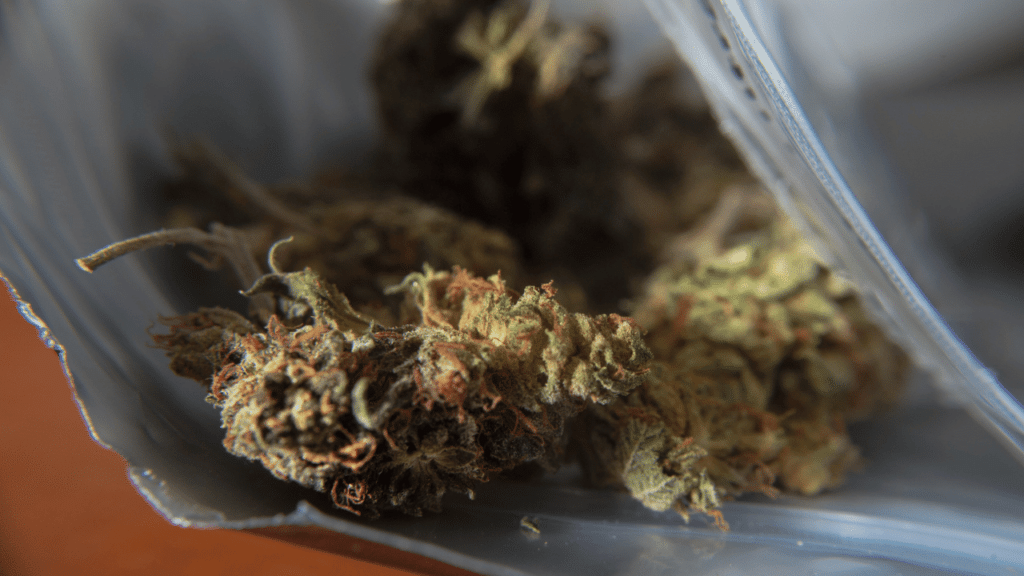 antimicrobial cannabis packaging
