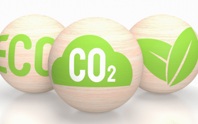Skytree: Sustainable CO2 Control Technology for Cannabis Growers