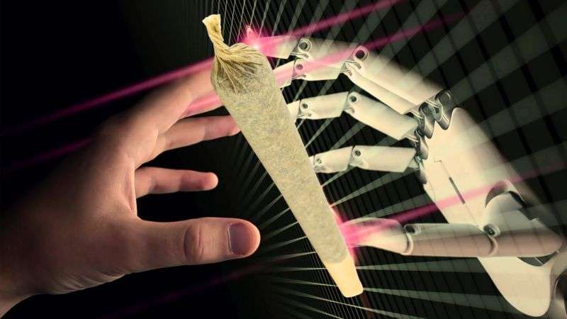 cannabis pre-roll evolution