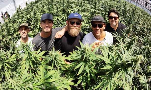 Southern California Reggae Pop Band Iration Announce A Special Cannabis Collaboration with Autumn Brands Growers for A New Line of Premium Flower Strains 