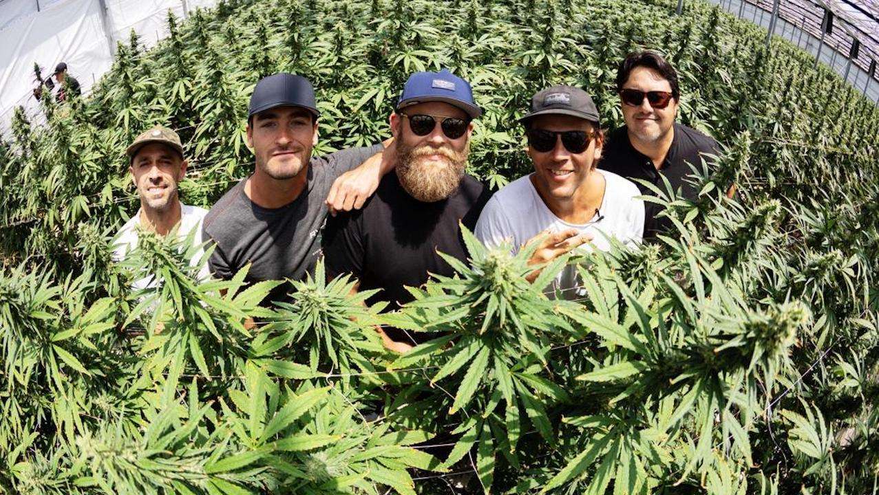 Iration cannabis