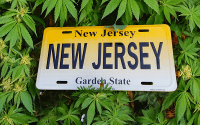 Leaf Haus: Pioneering Quality and Expertise in New Jersey’s Blossoming Cannabis Market