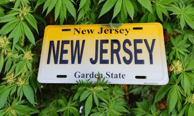 Leaf Haus: Pioneering Quality and Expertise in New Jersey’s Blossoming Cannabis Market