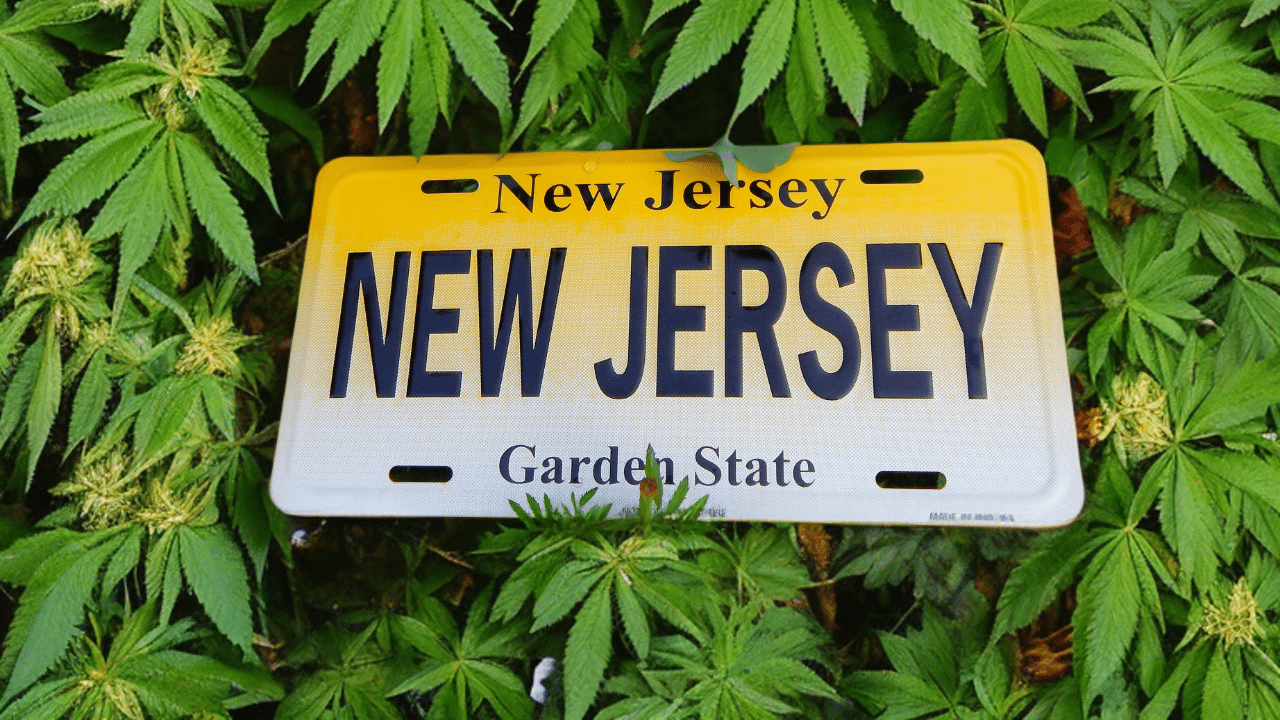 NJ Cannabis, leafhaus