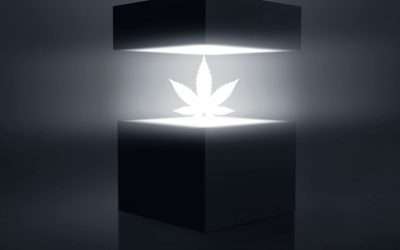 Rescheduling Cannabis: A Pandora’s Box of Uncertain Regulatory Challenges