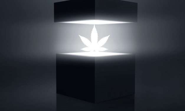 Rescheduling Cannabis: A Pandora’s Box of Uncertain Regulatory Challenges