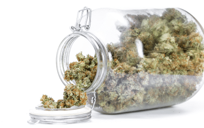 Preserving Cannabis Shelf-Life: Game-Changing Packaging Technology