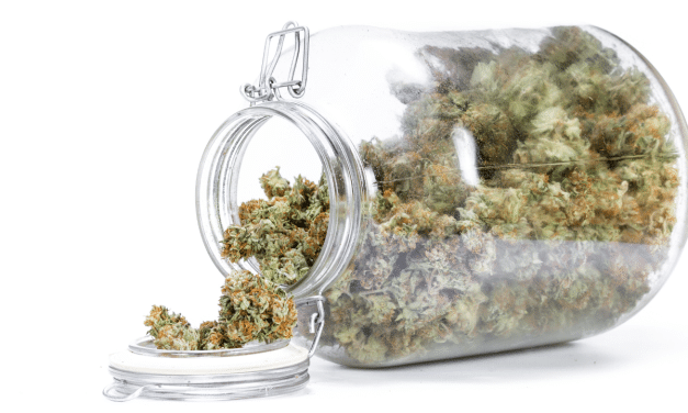 Preserving Cannabis Shelf-Life: Game-Changing Packaging Technology