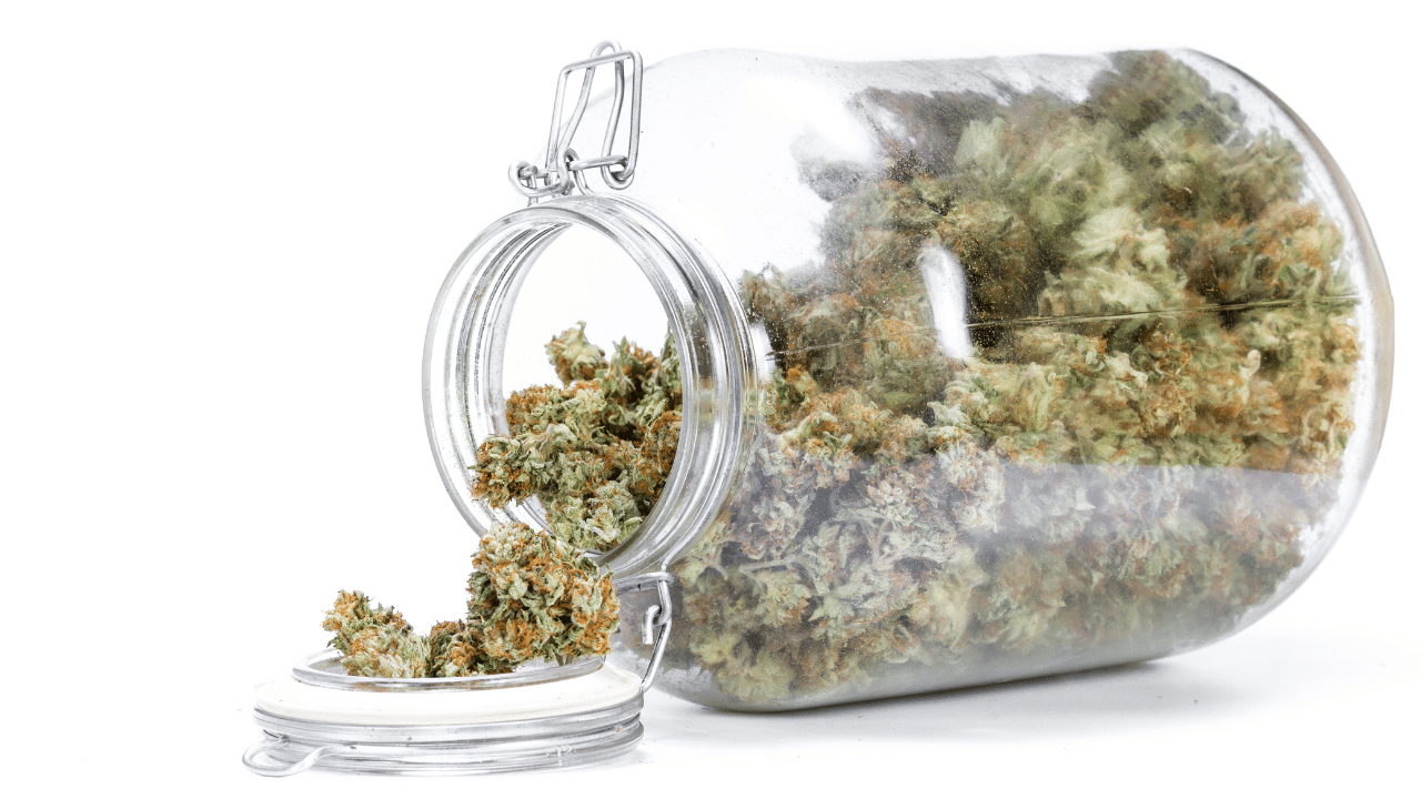 cannabis shelf-life, cannabis packaging