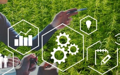 2 Undeniable Reasons to Strengthen US Hemp Fiber & Hurd Supply Chains