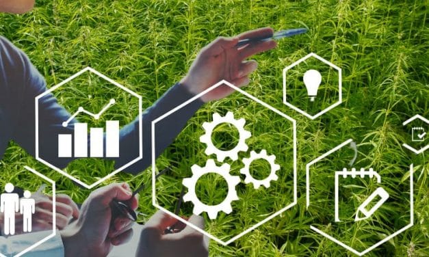 2 Undeniable Reasons to Strengthen US Hemp Fiber & Hurd Supply Chains