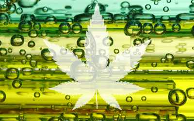 Electrolyzed Water: New H2O for Thriving Weed Plants