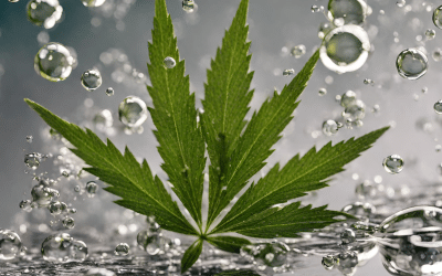 How Tiny Nanobubbles Can Make a Huge Impact on Cannabis Cultivation