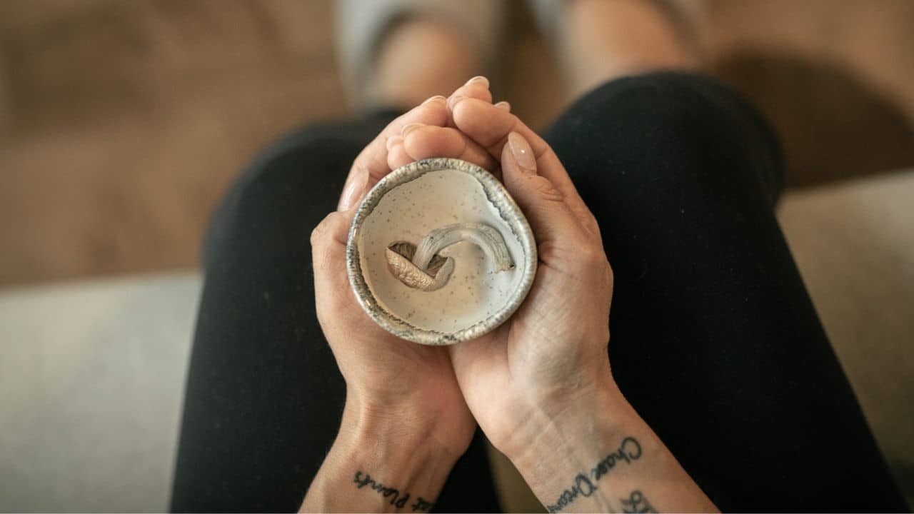 woman hands holding cup with magic mushroom at psilocybin retreats