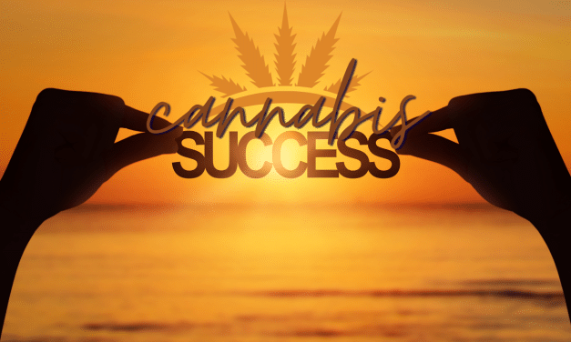 Overcoming Opioid Dependency with Cannabis: A Personal Story of Hope 8 Years Later
