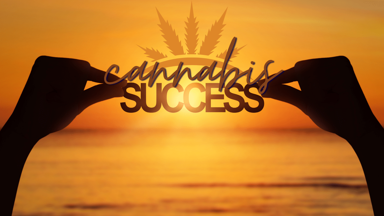 cannabis for opioid dependency