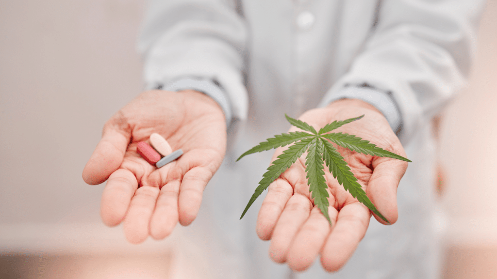 cannabis for opioid dependency