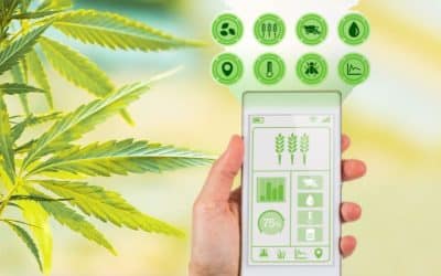 Boost Plant Growth with 5 Smart Grow Room Sensors: