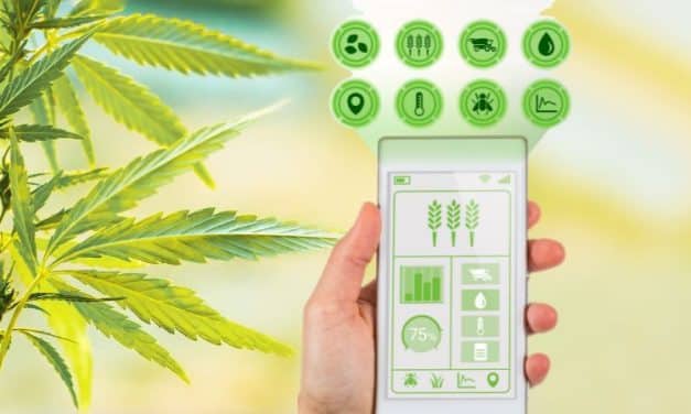 Boost Plant Growth with 5 Smart Grow Room Sensors: