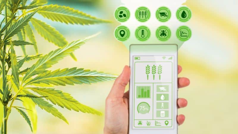 Grow Room Sensors
