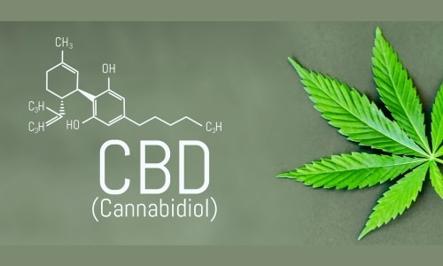 Ways to Integrate CBD Products into Your Daily Routine