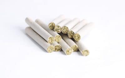 Pre-Rolls Are Your Gateway to Profitability in Cannabis: Here’s How To Use Them To Win New Customers