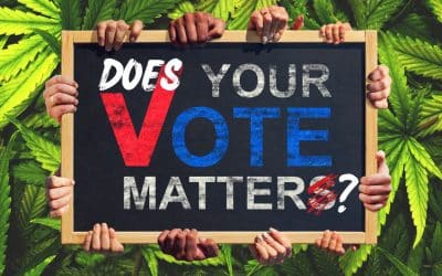 Distrustful of the Vote: Do Cannabis Ballot Initiatives Matter in 2024?