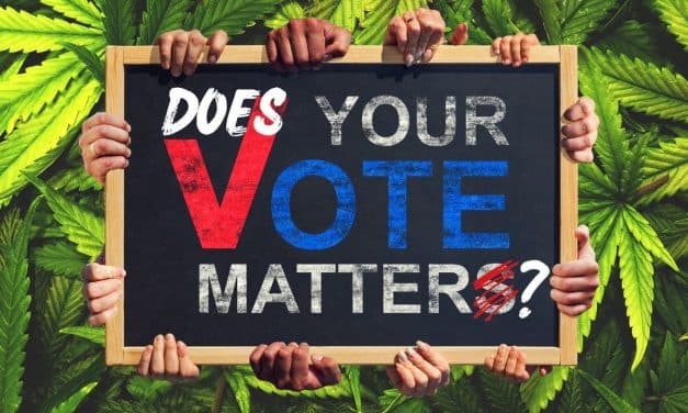 Distrustful of the Vote: Do Cannabis Ballot Initiatives Matter in 2024?