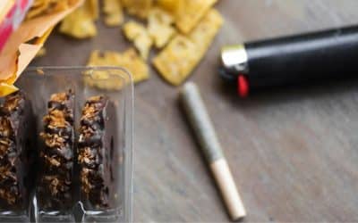 The Scoop on Cannabis and Food: A Delicious Journey from Munchies to Culinary Celebrations