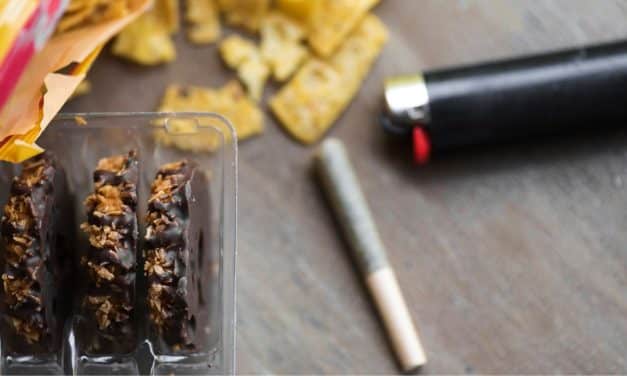 The Scoop on Cannabis and Food: A Delicious Journey from Munchies to Culinary Celebrations