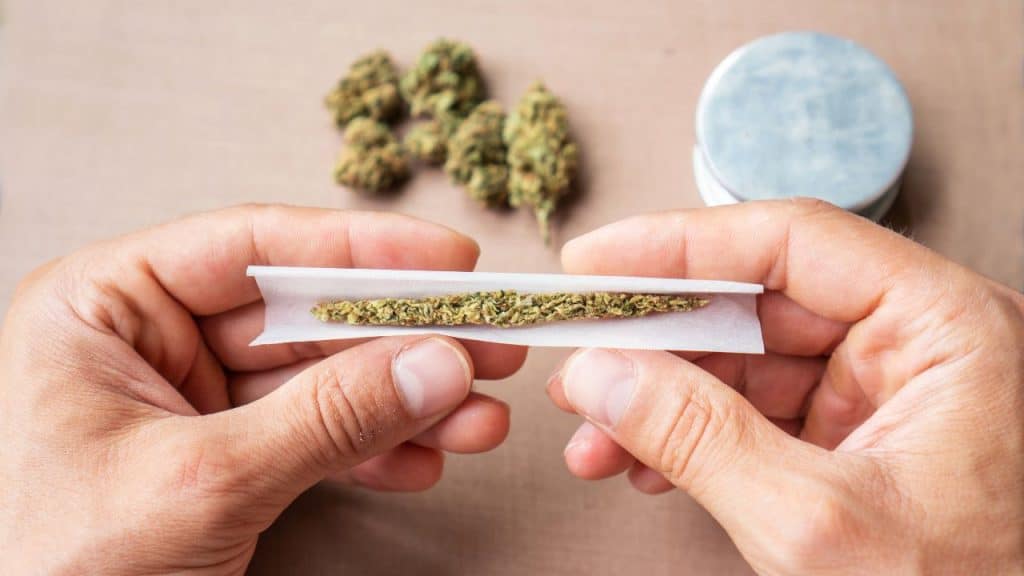 rolling paper contamination