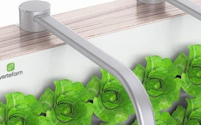 Unboxing the Bountiful Vertefarm Hydroponic Home Garden