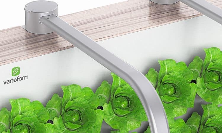 Hydroponic Home Garden