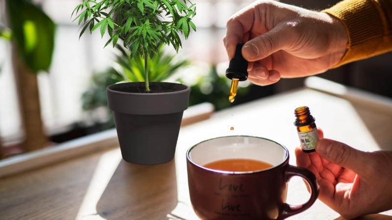 CBD Oil