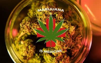 Breaking News! DEA to Reschedule Cannabis: 50 Years of Misinformation Ends, An Industry Reacts