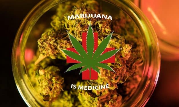 Breaking News! DEA to Reschedule Cannabis: 50 Years of Misinformation Ends, An Industry Reacts