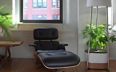 Coming Out of the Cannabis Closet with Annaboto: New Home Grow Tech Offers Elegance