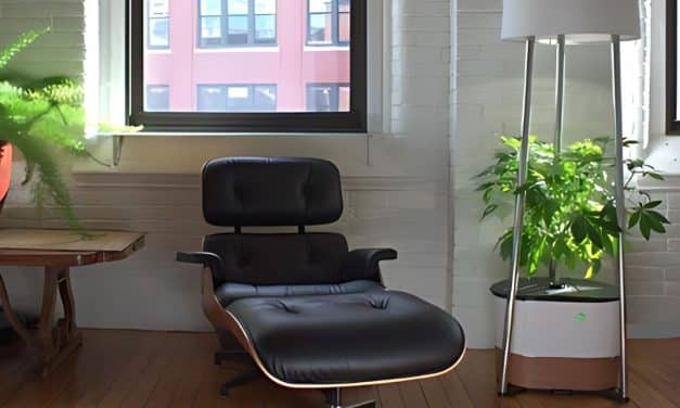 Coming Out of the Cannabis Closet with Annaboto: New Home Grow Tech Offers Elegance