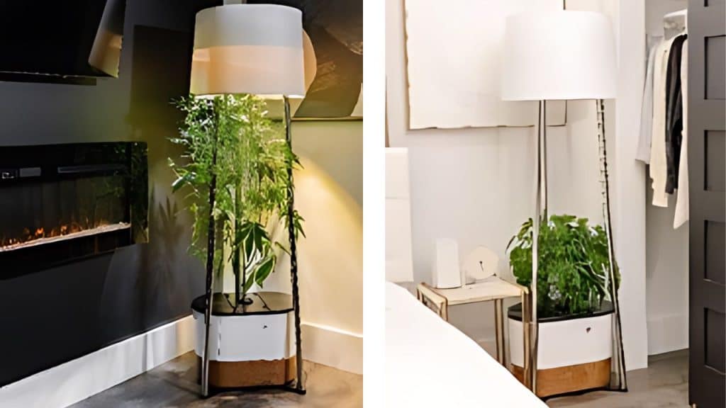 annaboto, home grow tech