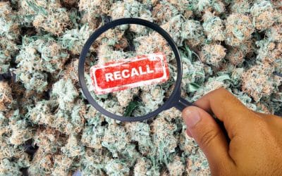 Avoid the Cannabis Recall: Eliminating Microbial Contaminants