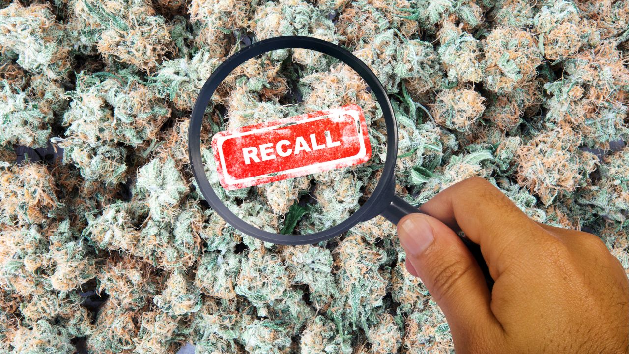 cannabis recall