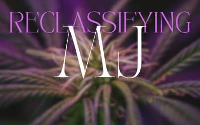 President Biden’s Decisive 2024 Push to Reclassify Marijuana is Official