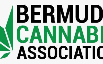 (Bermuda) Industry body to offer training session about medical cannabis