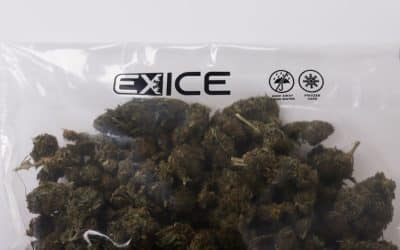 Grove Bags Launches ExIce: The First Water-Soluble Fresh Frozen Cannabis Storage Solution 