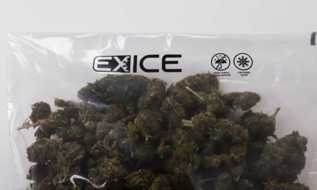 Grove Bags Launches ExIce: The First Water-Soluble Fresh Frozen Cannabis Storage Solution 