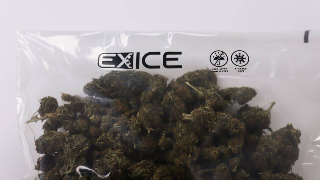 Grove Bags Exice Bags, cannabis storage solution