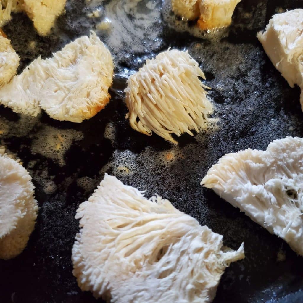 Lions Mane