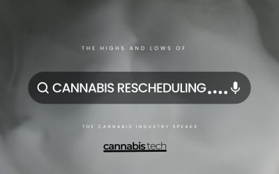 The Highs and Lows of Cannabis Rescheduling