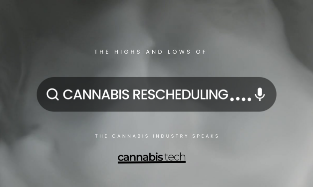 The Highs and Lows of Cannabis Rescheduling