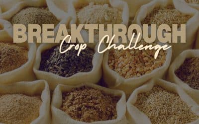 FFAR Accepting Applications for Harvest for Health Breakthrough Crop Challenge